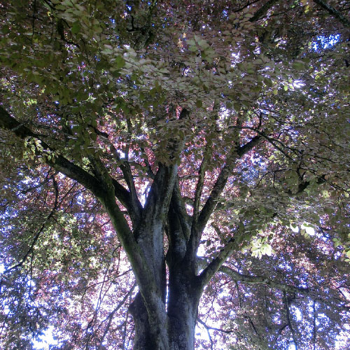 impressionen7