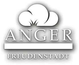 logo_schatten